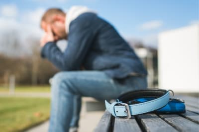 What to Say When Someone Loses a Pet? What to Say When Someone Loses a Pet?