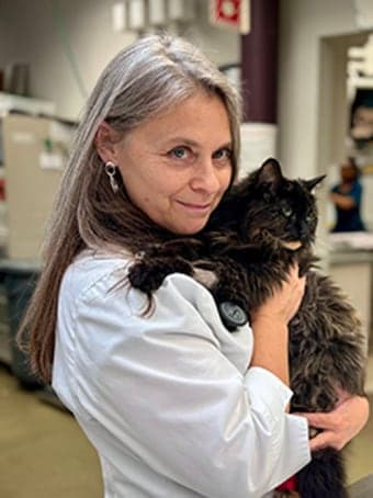 Dr. Jean Ferreri Dr. Jean Ferreri