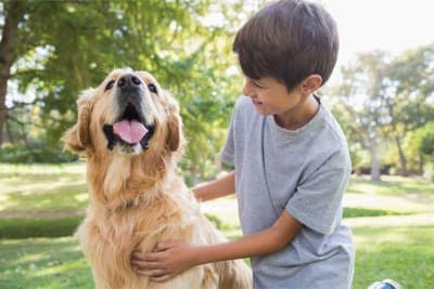 Fun Dog Facts for Kids Fun Dog Facts for Kids