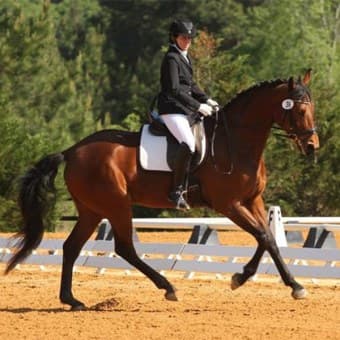 Dr. Laurie Weiser Dr. Laurie Weiser