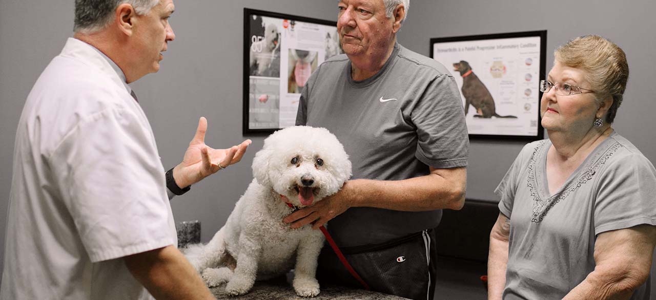 Queens Animal Hospital About Us Hero Image Queens Animal Hospital About Us Hero Image