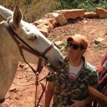 Dr. Aloisio Bueno Dr. Aloisio Bueno