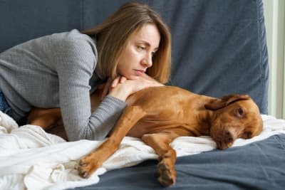 Dog Behavior Change After Vaccination Dog Behavior Change After Vaccination