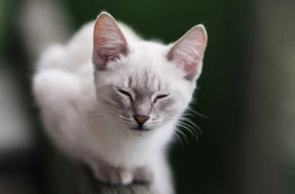 Christopher R. Christopher R.